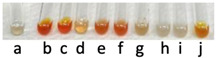 molecules-31-00796-i002.jpg