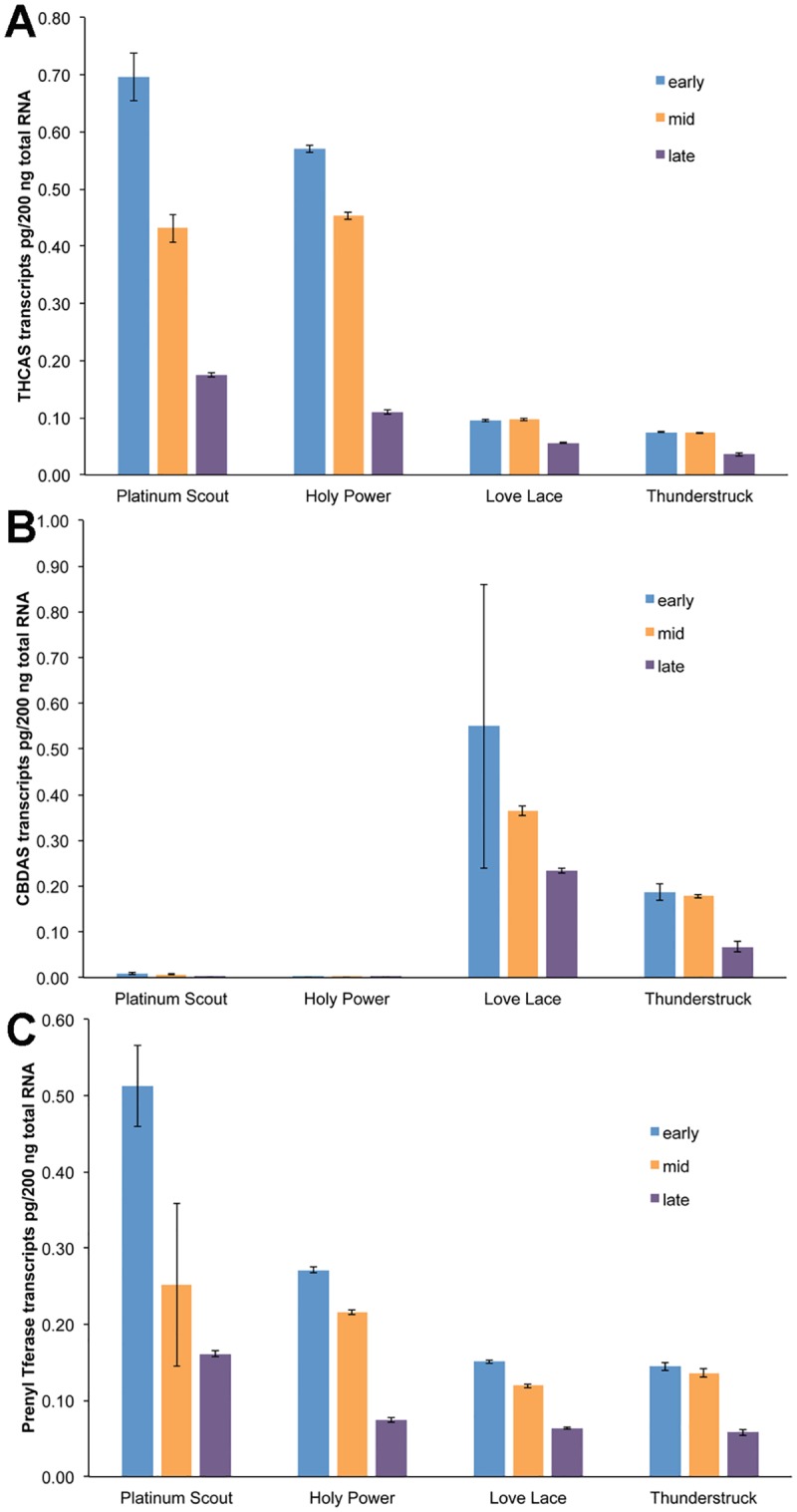 Transcript accumulation of cannabinoid biosynthetic genes during floral development.RNA was isolated from flowers collected from the indicated strains at early (blue), middle (orange) or late (purple) after the floral induction phase. Triplicate RNA isolations were assayed by qRT-PCR, using primers for THCAS (A), CBDAS (B) or prenyl transferase (C).