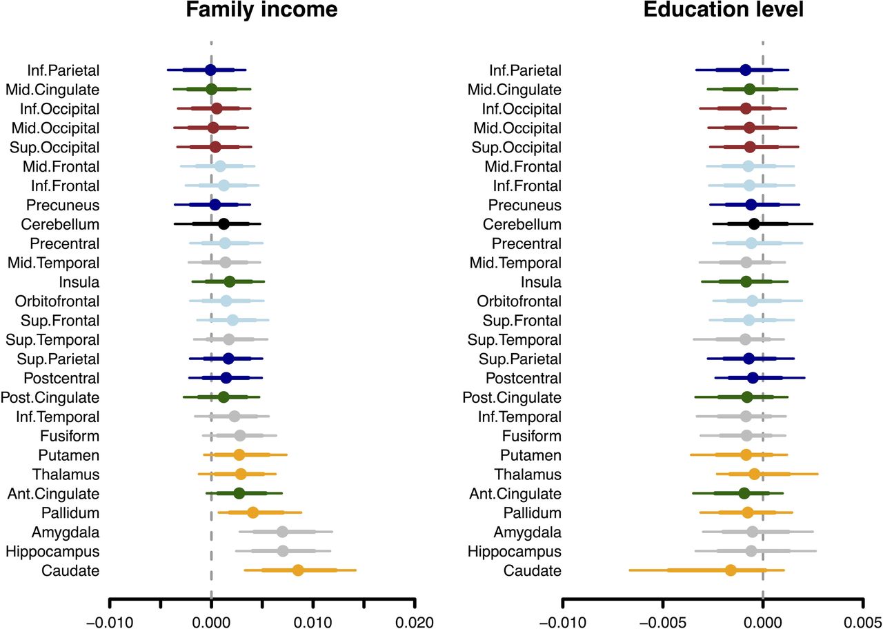 Posterior intervals of the regression coefficients for family income and education level predicting brain glucose metabolism. The thick lines represent the 80% posterior intervals, the thin lines represent the 95% posterior intervals, and the circles represent posterior means.