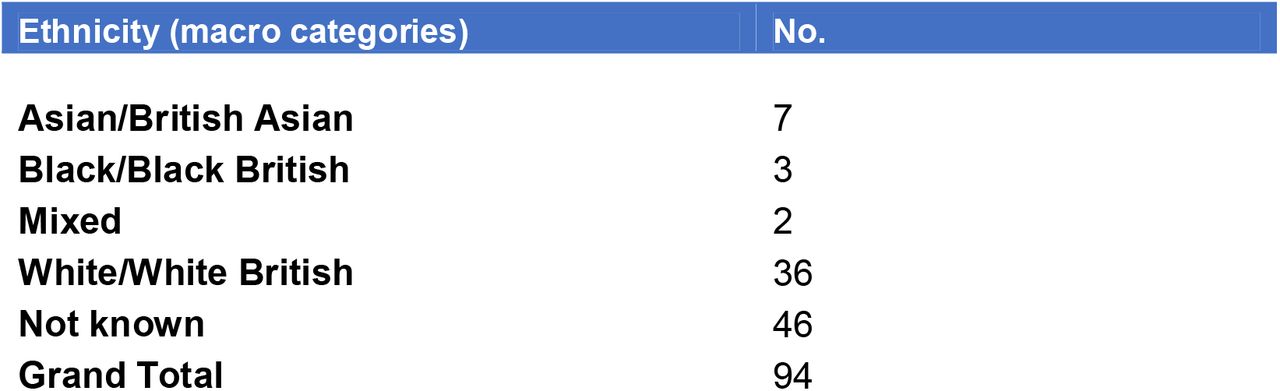Ethnicity demographics of participants