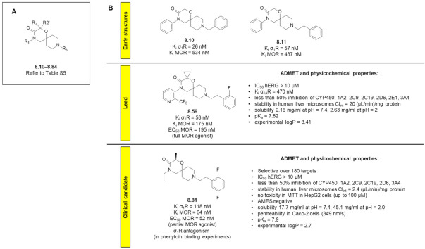 (A) General structure of compounds 8.10–8.84, (B) Structures of key compounds in the programme with some of their pharmacological properties.