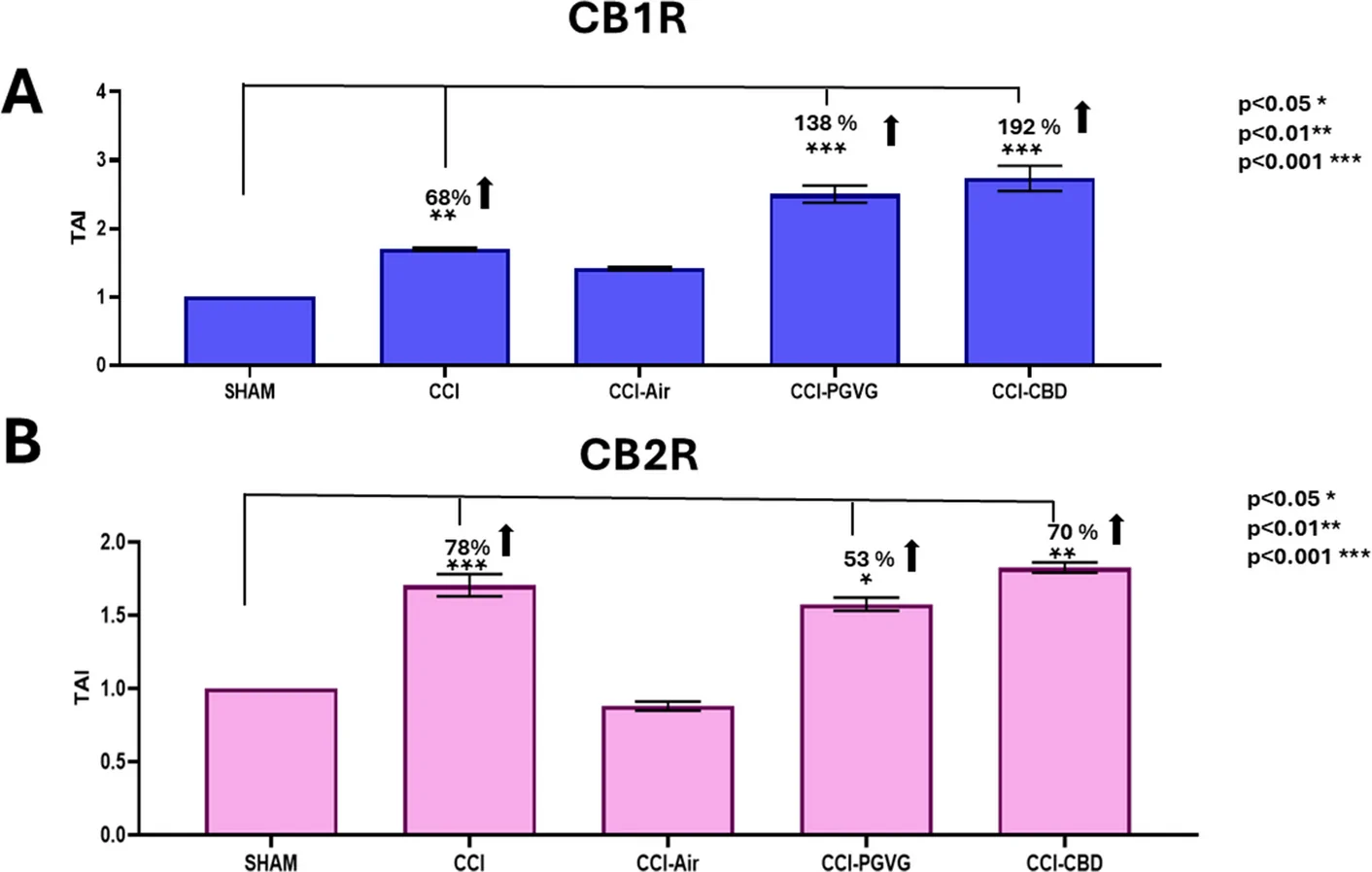 CBD receptor gene expression levels in lung tissue from all rat groups. A CB1R: CB1 receptor (CB1R) gene expression was significantly upregulated in lung tissue from CCI rats compared to SHAM controls (68% increase, **p < 0.01), with further increases observed in the CCI + PGVG and CCI + CBD groups following exposure to CBD vapor. Significant increases were noted at different time points and exposure levels, reflecting the impact of vaporized compounds on CB1R expression. B CB2R: CB2 receptor (CB2R) gene expression also showed a significant upregulation in CCI rats compared to SHAM controls (78% increase, ***p < 0.001). Both CCI + PGVG and CCI + CBD groups exhibited additional increases in CB2R expression, indicating that exposure to vaporized compounds, particularly CBD, led to further receptor upregulation. Error bars are plotted as ± SEM to indicate variability within the groups