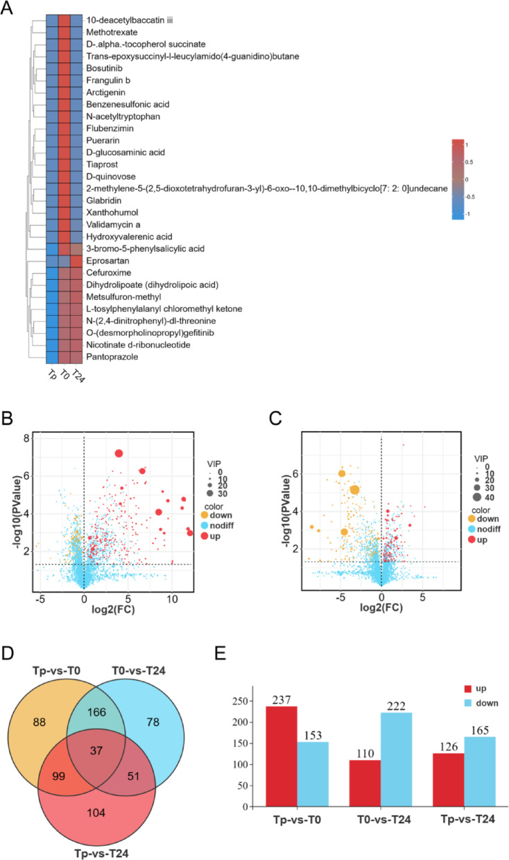 Results of postoperative metabolite differential analysis in children undergoing CPB. A: Heat map displaying 29 metabolites with a fold-change (FC) > 100 or < 0.01. B: Differential metabolite volcano plots for Tp-vs-T0. C: Differential metabolite volcano plots for T0-vs-T24. D: Wayne plots illustrate the number of significantly different metabolites among the three groups. E: Bar graph of significantly different metabolites among the three groups