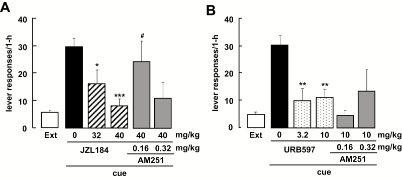 Effect of JZL184 and URB597 on the reinstatement of methamphetamine (METH)-seeking behavior by reexposure to cues. Rats were pretreated with a monoacylglycerol lipase (MAGL) inhibitor, JZL184 (32 or 40 mg/kg, i.p., n=7 and n=5, respectively) (A) or a fatty acid amide hydrolase (FAAH) inhibitor, URB597 (3.2 or 10 mg/kg, i.p., n=5 per group) (B). JZL184 and URB597 were injected 2 hours or 1 hour prior to the test, respectively. AM251 (0.16 or 0.32 mg/kg, i.p.) was coadministered with JZL184 or URB597 (n=4–6). *P<.05, **P<.01, and ***P<.001 for cue- vs cue-JZL184/ URB597-treated rats. #P<.05 for the cue-JZL184 vs cue-JZL184-AM251-treated rats. Each bar represents the mean (±SEM) number of presses on the previously active lever during the 1-hour reinstatement test.