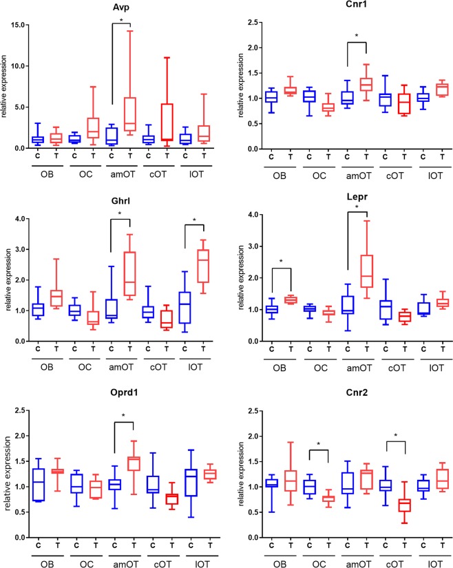 Comparison of representative neuromodulatory molecule expression in various olfactory areas between control and trained mice. The relative expression levels in control and trained mice were calculated based on the averaged ΔCt of control mice. Data for AVP, cannabinoid receptor 1 (Cnr1), ghrelin (Ghrl), leptin receptor (Lepr), opioid receptor delta 1 (Oprd1) and cannabinoid receptor 2 (Cnr2) are shown for control (blue) and trained (red) mice. Boxes indicate the 25th and 75th percentiles, whiskers show the minimum and maximum values, and lines inside the boxes indicate the median. *p < 0.05 (adjusted p values). n = 8–9 for each group of data.