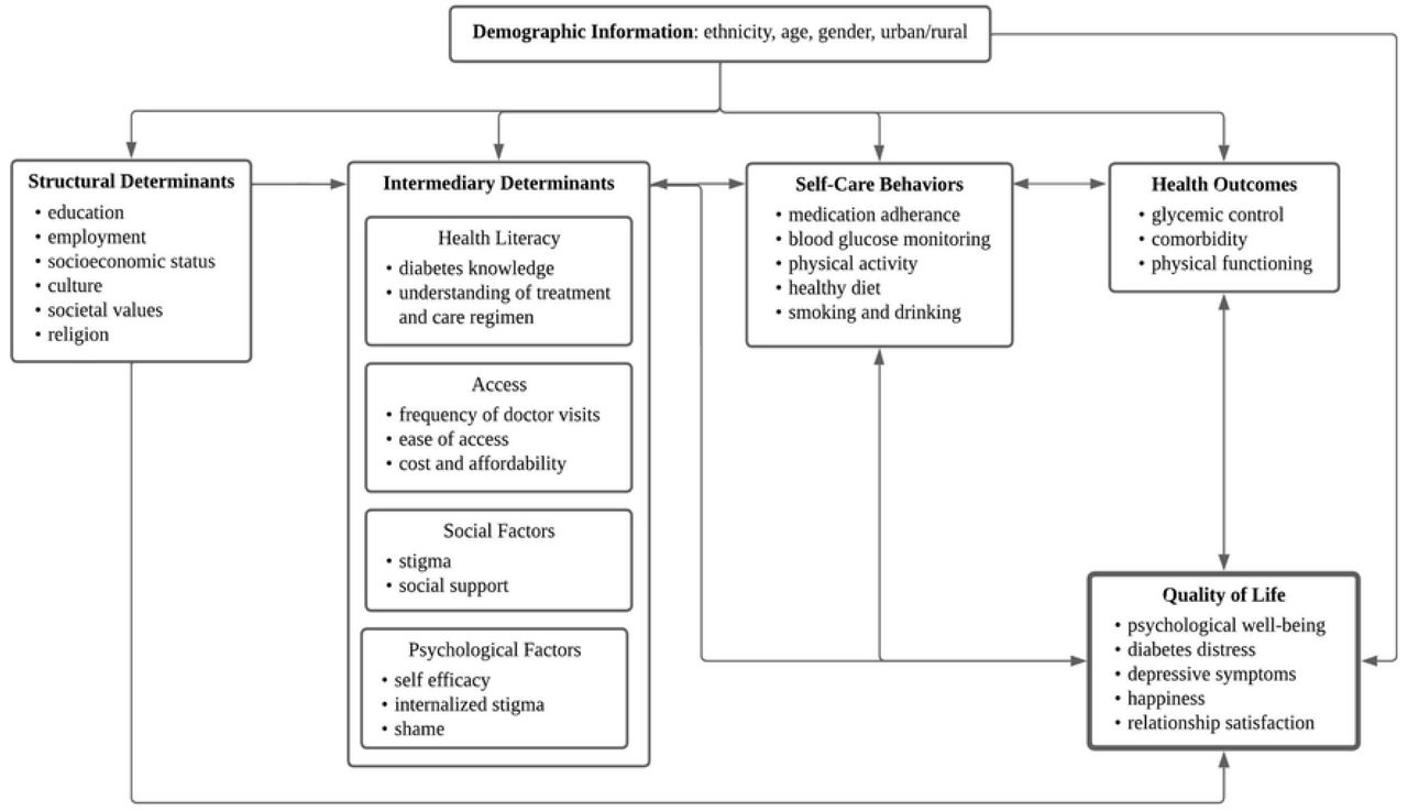 Conceptual model