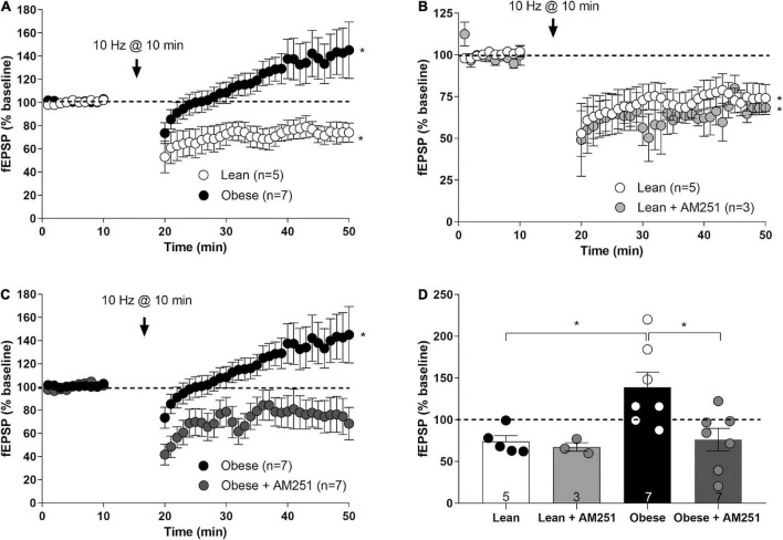 Long-term synaptic plasticity at infralimbic mPCx synapses of the lean and obese Zucker rats. (A) Low frequency stimulation (LFS; 10 Hz for 10 min) at the time marked by the X-axis break triggers a depression of the fEPSPs (IL-eLTD) in lean rats (white circles; Student’s t-test, two tailed, *p < 0.05 versus baseline), but a potentiation of the fEPSPs (IL-eLTP) in obese Zucker rats (black circles; Student’s t-test, two tailed, *p < 0.05 versus baseline). (B) Bath perfusion with AM251 (4 μM) in lean rats is ineffective at changing IL-eLTD (light gray circles; Student t-test; *P < 0.05 versus baseline). (C) The slight but significant LTP in obese Zucker rats (black circles) is suppressed by AM251 (4 μM; dark gray circles; Student t-test; *P < 0.05 versus baseline). (D) Summary bar histogram of the experiments performed: lean, lean + AM251 (4 μM), obese, obese + AM251 (4 μM). Student t-test; *P < 0.05. Numbers in the bars are individual experiments. Data are expressed as mean ± SEM.