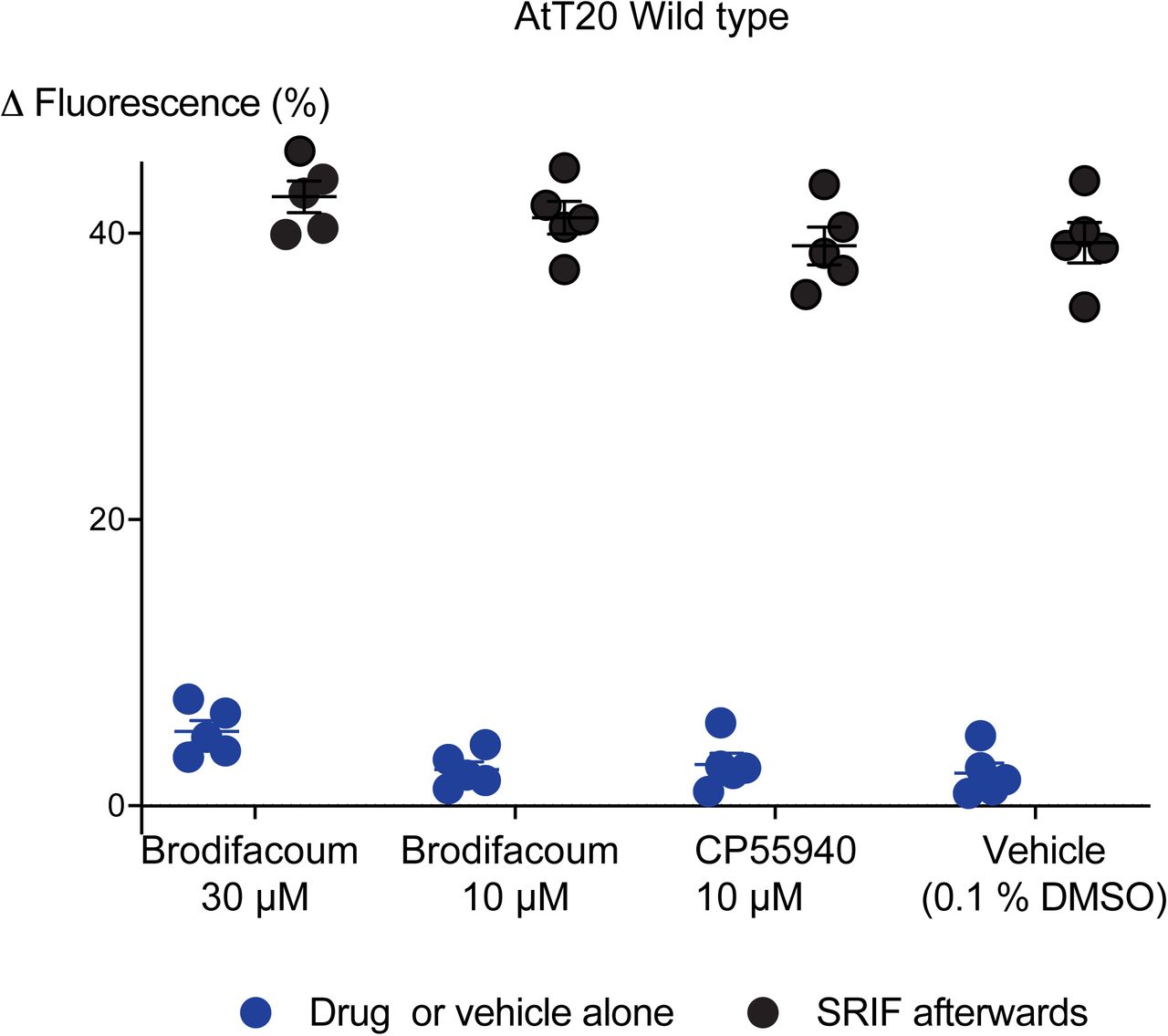 Effects of brodifacoum (BFC) and CP55940 in wild type AtT20 cells.Scatter dot plot representing the percentage change in fluorescence for BFC (30 µM), BFC (10 µM), CP55940 (10 µM), and Vehicle (0.1% DMSO) alone (blue dots), and the response to the subsequent addition of SOMATOSTATIN (100 nM) to AtT20-WT cells (black dots). Data represents the mean ± SEM of five independent determinants performed in duplicate (p > 0.05).