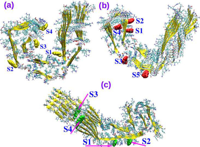 Binding modes of AV-1451 in tau fibrils from (a) AD, (b) CTE, and (c) PiD patients. Various high affinity binding sites for the tracer are shown.