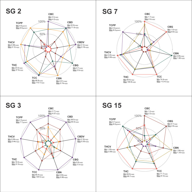 Radar charts for the relative quantities of cannabinoids across 4 vernacularly classified strain groups. Strain Group 2 (SG 2), Durga Mata (blended CBD:THC); Strain Group 3 (SG 3), Nebula (blended CBD:THC); Strain Group 7 (SG 7), Ice Cream (high THC); Strain Group 15 (SG 15), White Berry (high THC). Colours within each strain group indicate the genotypic replicate’s mean value for each parameter. The absolute range of the cannabinoid quantities, minimum (0%) and maximum (100%), across genotypes within each strain group is depicted next to the parameter indication. Abbreviations: strain group (SG).