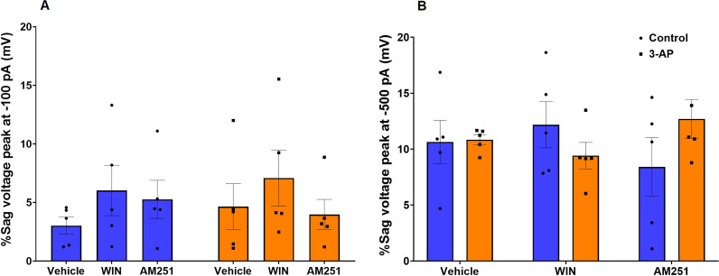 The percentage of the sag potential was determined at A -100pA and B -500pA. n = 6 cells/group; one cell from each rat. The data are expressed as mean ± SEM