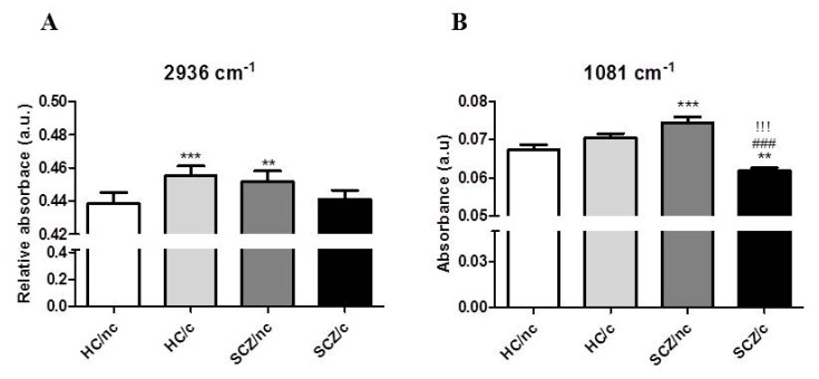 Peak amplitudes for the methylation related peak 2936 cm-1 (A) and the symmetric stretching vibrations of the phosphate group (1081 cm-1) (B) in ON cells from healthy controls non-cannabis users (HC/nc); healthy controls cannabis users (HC/c); schizophrenic patients non-cannabis users (SCZ/nc) and schizophrenic patients cannabis users (SCZ/c). The data are expressed as means ± S.E.M. * p < 0.05; ** p < 0.01; *** p < 0.001 vs. HC/nc. ! p < 0.05; !! p < 0.01; !!! p < 0.001 HC/c vs. SCZ/nc. # p < 0.05; ## p < 0.01; ### p < 0.001 SCZ/nc vs. SCZ/c.