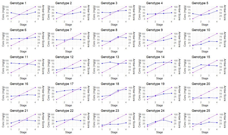 The total cannabinoid concentration (TCC) versus the visual amber score of each plant over the four amber stages. Blue = total cannabinoid concentration (mg/g); purple = manual amber score.