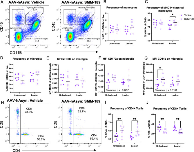 Modulation of CB2 with SMM-189 promotes innate immune cell activation and altered infiltration of T lymphocytes in the brain at 8 weeks. Brain immune cells from high cohort rats were isolated from lesioned- (+ AAV-human Asyn) and unlesioned (-AAV-human Asyn) hemispheres at 8 weeks and flow cytometry analysis conducted to identify monocyte, lymphocyte and microglia populations using CD45 and CD11b expression and further gated into more distinct populations (see Figure S1). A) Representative dot blots of CD163 + macrophages in the unlesioned hemisphere of a vehicle and SMM-189-treated rat at 8 weeks. B) Quantification of monocyte (CD45hiCD11b+) and C) MHCII-expressing classical monocyte (MHCII + CD43-) frequencies. D) Analysis of microglia (CD45loCD11b+) and microglia MFI of E) MHCII F) CD172a and G) CD11b. H) Dot blots of CD3 + lymphocytes stratified by CD4 and CD8 populations in the lesion hemisphere of a vehicle and SMM-189-treated rat at 8 weeks. I) Quantification of CD4-expressing and J) CD8-expressing T cells. *p < 0.05, **p < 0.01