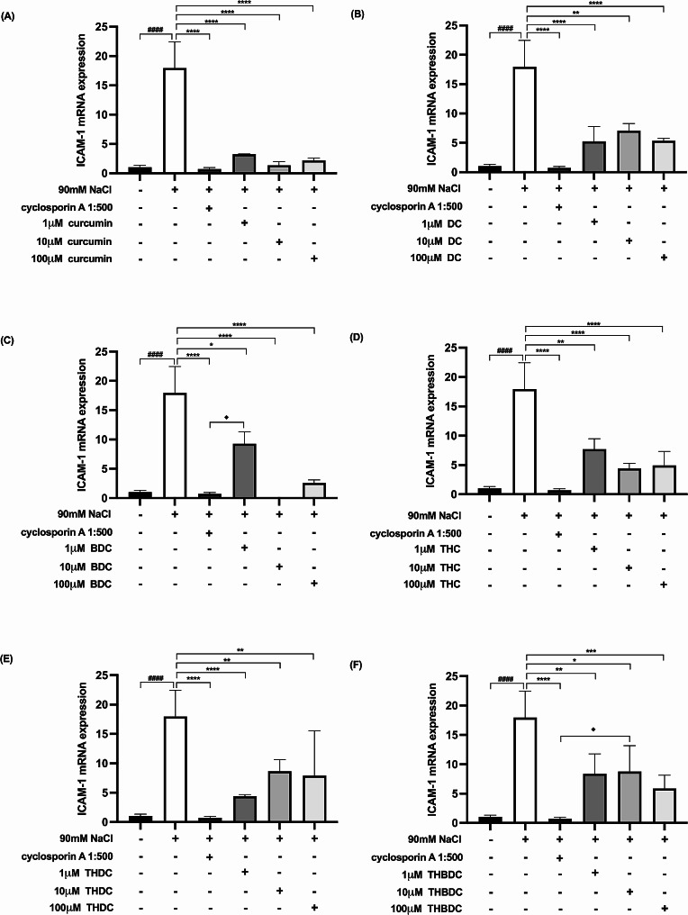 Effect of curcuminoids and curcuminoid analogs on ICAM-1 mRNA expressions in hyperosmotic-induced human corneal limbal epithelial cells. After 90mM NaCl exposure for 6 h, ICAM-1 mRNA expression levels were inhibited by (A) curcumin, (B) demethoxycurcumin (DC), (C) bisdemethoxycurcumin (BDC), (D) tetrahydrocurcumin (THC), (E) tetrahydrodemethoxycurcumin (THDC), and (F) tetrahydrobisdemethoxycurcumin (THBDC). mRNA expression levels were assessed using quantitative RT-PCR. ####P < 0.0001 compared to control. *P < 0.05, **P < 0.01, ***P < 0.001, ****P < 0.0001 compared to NaCl alone. ♦P < 0.05 compared to NaCl + cyclosporin A