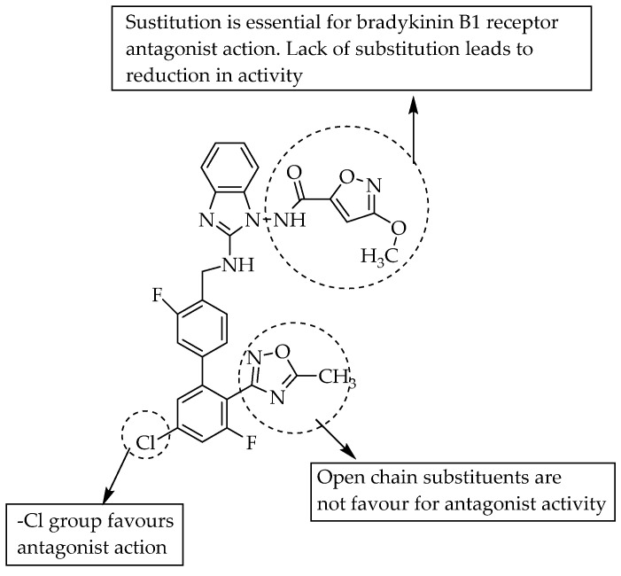 SARs of 2-aminobenzimidazole as bradykinin B1 receptor antagonists.