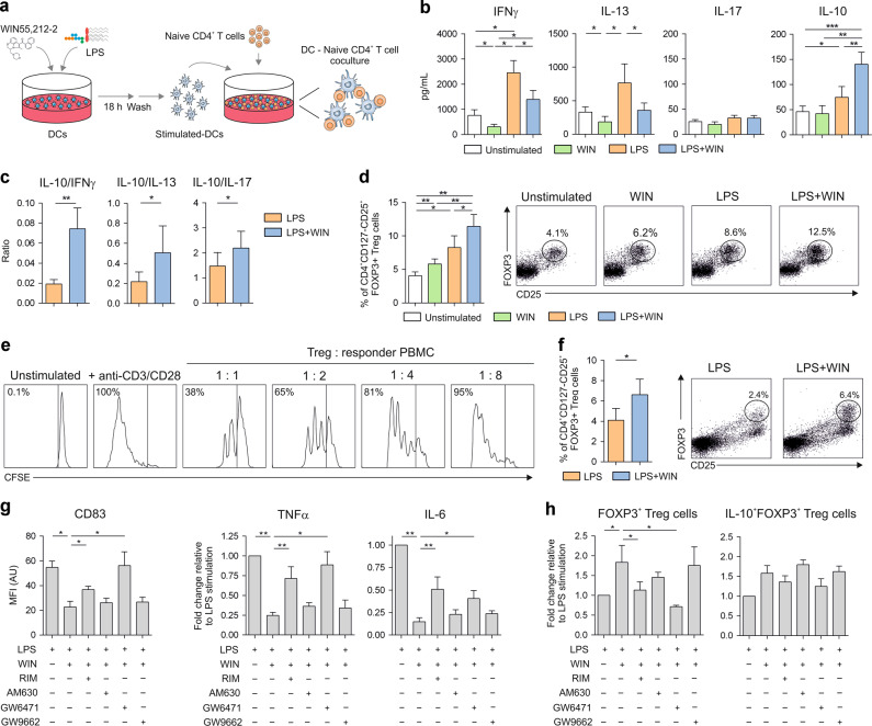 Tolerogenic DCs generated via CB1- and PPARα-mediated activation induce functional FOXP3+ Tregs.a Scheme of coculture experiments. b Cytokines produced by allogeneic naïve CD4+ T cells primed by unstimulated, WIN55212-2 (WIN, 10 µM), LPS (0.1 µg/mL) or LPS plus WIN55212-2-treated hmoDCs after 5 days (n = 8). c Cytokine ratios by primed naïve CD4+ T cells in the indicated conditions (n = 8). d Percentage of induced FOXP3+ Tregs under the indicated conditions (n = 8). Flow cytometry representative dot plots are shown. e Suppression effects of purified induced FOXP3+ Tregs generated by LPS/WIN55212-2-stimulated hmoDCs. f Percentage of induced FOXP3+ Tregs by allogeneic LPS or LPS/WIN55212-2-stimulated total DCs (n = 6). Flow cytometry representative dot plots are shown. g Geometric mean fluorescence intensity (gMFI) of CD83 expression and TNFα and IL-6 production after stimulation of hmoDCs with LPS (0.1 µg/mL) plus WIN55212-2 (10 µM) in the presence of CB1 (Rimonabant (RIM), 20 µM), CB2 (AM630, 20 µM), PPARα (GW6471, 25 µM) and PPARγ (GW9662, 10 µM) antagonists for 18 h (n = 8). h Percentage of FOXP3+ Tregs generated after 5 days by hmoDCs stimulated with the indicated conditions. Values are mean ± SEM. Statistical significance was determined using One-way Anova (b, d, g, h) or Paired t test (c, f). *P < 0.05, **P < 0.01, ***P < 0.001.