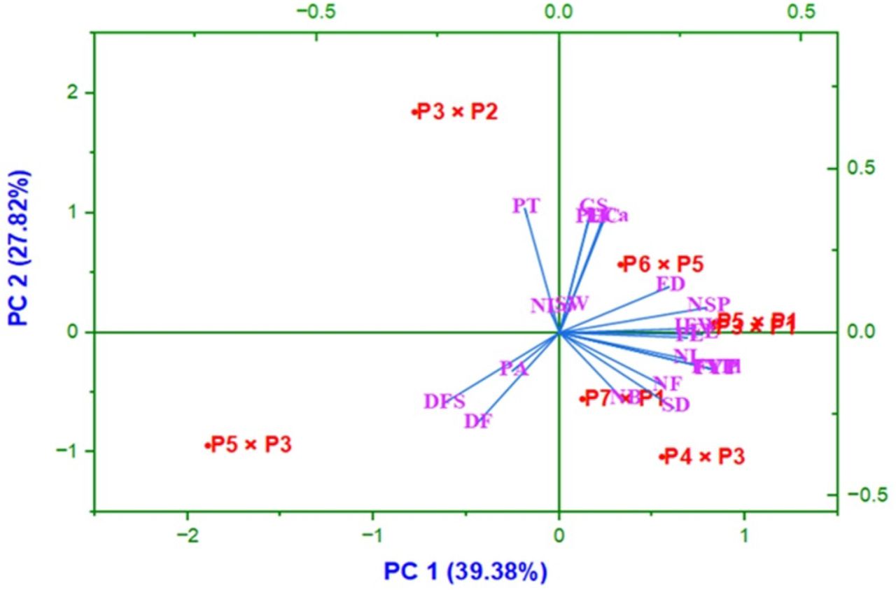 Figure 5.