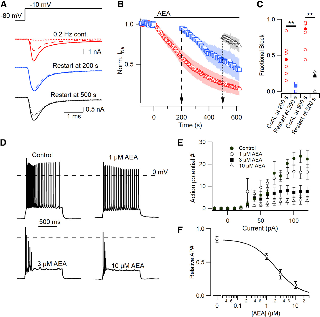 AEA inhibition of VGSC is use-dependent and results in reduced action potential generation(A) Exemplar VGSC traces of neocortical neurons continuously sampled at 0.2 Hz by voltage step from −80 to −10 mV in the presence of AEA (red) vs. those held silent for 200 (blue, dashed) or 500 (black, dotted) seconds.(B) Time course of normalized VGSC current amplitude prior to and during application of AEA. Cells were sampled continuously every 5 s (0.2 Hz) or held at −80 mV for either 200 (blue, circles) or 500 (black, triangles) seconds before resuming. Shading represents ± SEM.(C) Fractional block of normalized VGSC current for cell sampled at 0.2 Hz (red) vs. those held silent for 200 (blue squares, 0.08 vs. 0.44; MW p=0.0058) or 500 s (black triangles, 0.21 vs. 0.87; p=0.00037).(D) Exemplar voltage traces from a neuron firing in response to stepwise current injections after 500 s exposure to 1, 3, or 10 μM AEA.(E) Number of action potentials generated in response to current injections (−20 to 120 pA) at 0–10 μM AEA (n=7).(F) The larger current injections (100–120 pA) were used to calculate a concentration-effect curve based on the normalized action potential number within each cell, half maximal effective concentration = 2.1 μM.Error bars represent ± SEM in (E) and (F).