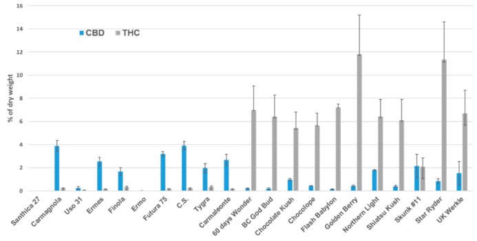 Cannabidiol (CBD) and tetrahydrocannabinol (THC) content found in drug-type and hemp varieties selected for the experiment.