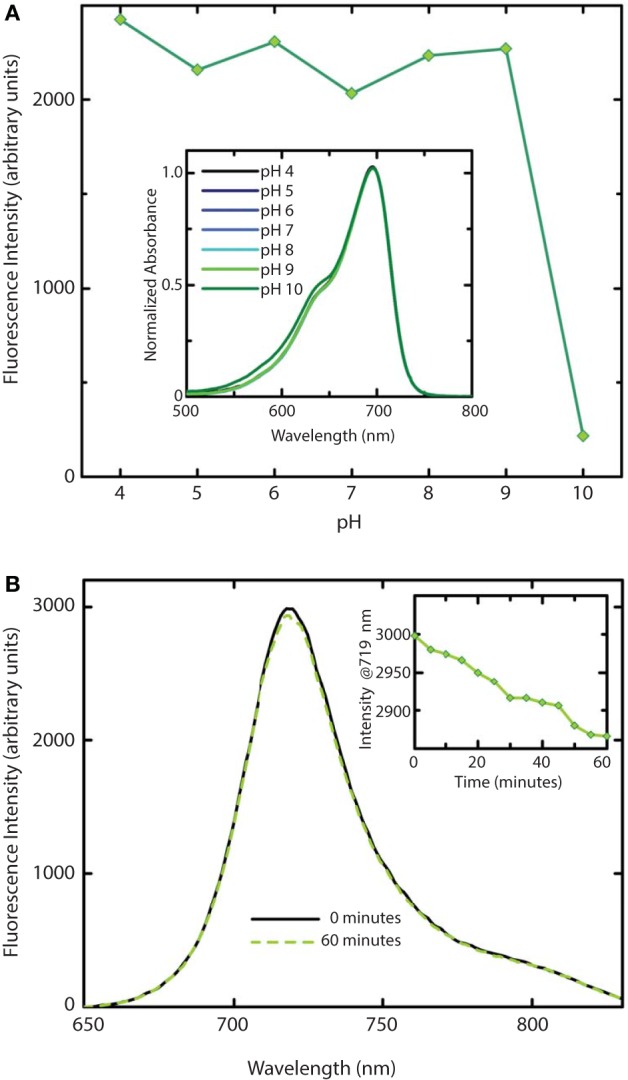 Stability of WiPhy2 Fluorescence vs. pH and illumination time. (A) Dependency of WiPhy2 absorption (inset) and fluorescence on pH. (B) Steady-state emission spectra of WiPhy2 before and after a 1-h photostability test. Inset shows fluorescence intensity at peak over time.