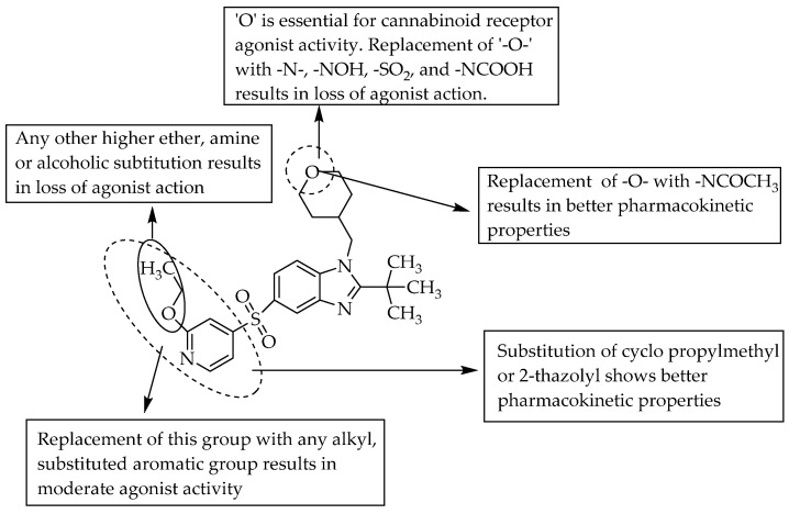 SARs of 2-isbutyl-5-sulfonylbenzimidazole derivatives.