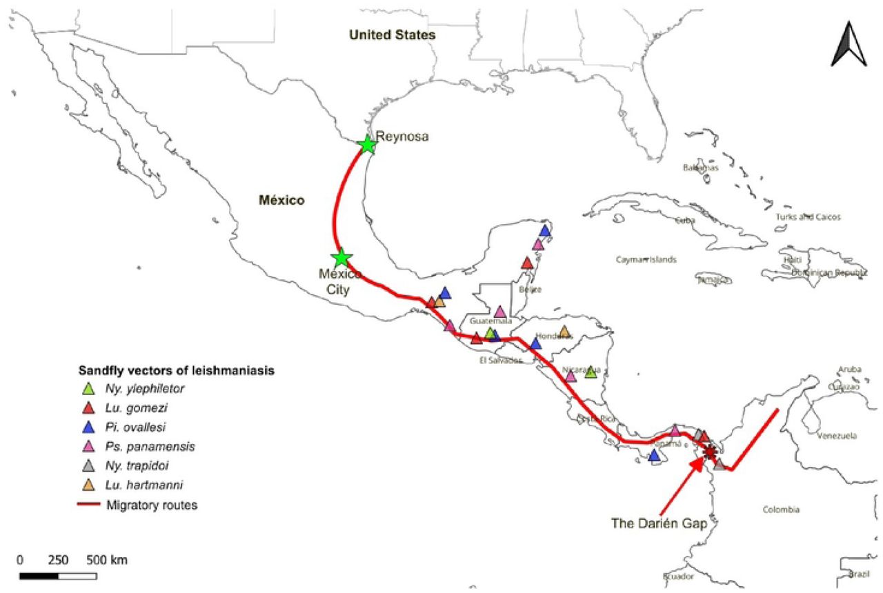 Migratory route from Venezuela to the U.S. border and potential exposure to Leishmania vectors. Triangular markers indicate the distribution of the six anthropophilic sand fly species that transmit L. (V.) braziliensis and L. (V.) panamensis: ▴ Nyssomyia trapidoi, ▴ Ny. ylephiletor, ▴ Psychodopygus panamensis, ▴ Pintomyia ovallesi, ▴ Lutzomyia Hartmanni, and ▴ Lu. gomezi. The red line indicates the possible migratory routes followed by migrants. It is worth noting that the sampling sites were located at the “Casa del Migrante in Reynosa” in northestern Mexico, and in Mexico City (marked with green stars). The red asterisk shows the Darién Gap.