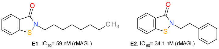 Irreversible MAGL inhibitors—benzisothiazolinone derivatives.