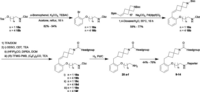 General synthesis scheme to access MAGL probes 9 to 14.