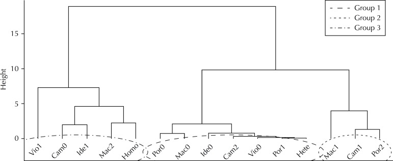 Groups by cluster analysis using the variable categories analyzed in the multiple correspondence analysis in Brazilian capitals, 2007-2008.Hete: Heterosexual behavior; Homo: Homosexual or Bisexual behavior; Cam2: always/frequent use of protection; Cam1: Infrequent use of protection; Cam0: never use protection; Por2: Get drunk frequently; Por1: Get drunk infrequently; Por0: never get drunk; Mac2: Frequent Marijuana use; Mac1: Infrequent Marijuana use; Mac0: Never used marijuana; Ide1: Prescence of suicidal thoughts; Ide0: Absence of suicidal thoughts; Vio1: Presence of sexual abuse; Vio0: Absence of sexual abuse