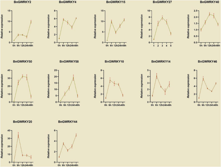 The relative expression levels of selected WRKY genes in ramie leaf at different periods under Cd+2 treatment (0, 6, 12, 24, and 48 h). The error bar represents the standard deviation of the three biological duplicates.