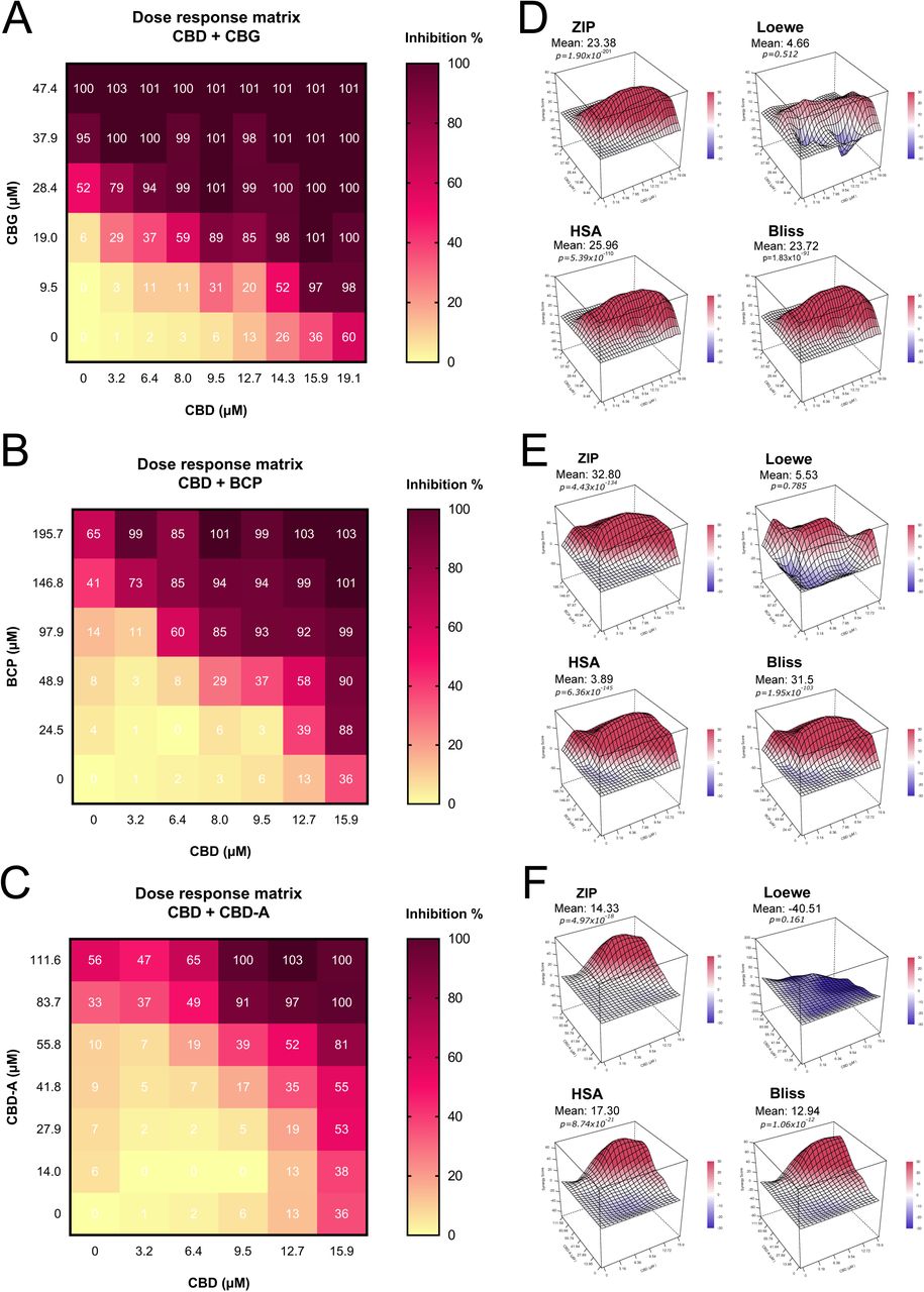 Analysis of drug interactions in pairwise combinations of hemp compounds on the vitality of MDA-MB-231 cells. (A-C)Dose-response heatmaps showing percentage inhibition in vitality assay after 72 hours of treatment with combinations CBD + CBG (A), CBD + BCP (B) and CBD + CBD-A (C). Colour intensity represents the percentage of inhibition relative to vehicle control (0.5% DMSO). (D-F) Three-dimensional synergy landscapes generated using SynergyFinder+ with ZIP, Loewe, HSA and Bliss reference models: CBD + CBG (D), CBD + BCP (E), CBD + CBD-A (F). Positive scores indicate synergy; negative values indicate antagonism. Data are presented as median from three independent experiments.