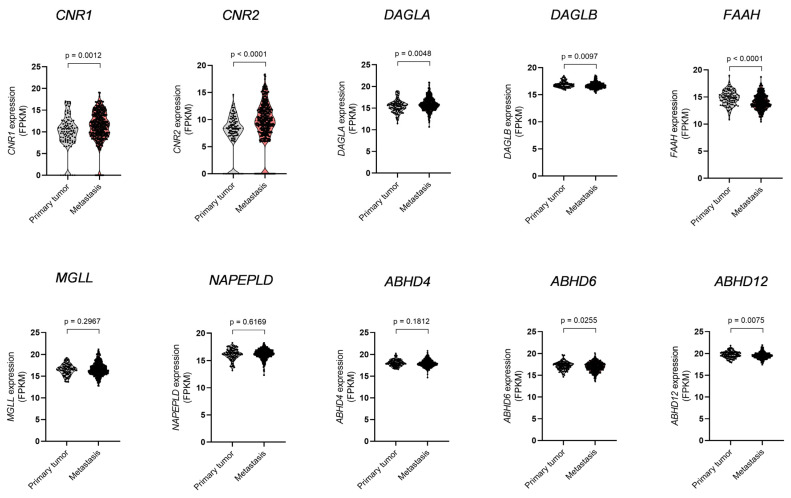 mRNA levels of ECS elements in human primary and metastatic melanoma. The transcript expression of CNR1 (CB1R), CNR2 (CB2R), DAGLA (DAGL-α), DAGLB (DAGL-β), FAAH (FAAH), MGLL (MAGL), NAPEPLD (NAPE-PLD), ABHD4 (ABHD4), ABHD6 (ABHD6), and ABHD12 (ABHD12) (in FPKM) was compared between primary tumours and metastatic samples from melanoma patients by unpaired Student’s t test with Welch’s correction. Data were obtained from the GDC-TCGA SKCM data set using Xena and comprised 103 primary tumour samples and 367 metastatic samples.