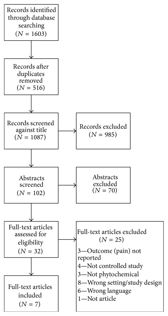 PRISMA flow chart.