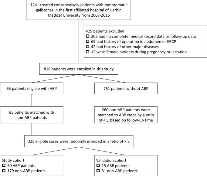 Flow chart of the study.