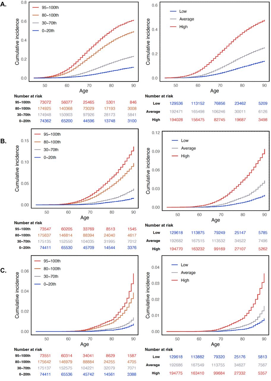 Prostate cancer cause-specific cumulative incidence in MVP by P-CARE strata.Cause specific cumulative incidence within MVP for (A) prostate cancer, (B) metastatic prostate cancer, and (C) fatal prostate cancer. The left column shows incidence for each endpoint by P-CARE percentile group: 0-20th, 30-70th, 80-100th, and 95-100th. The right column shows incidence for each endpoint by P-CARE risk category: high, average, and low risk. Abbreviations: MVP, Million Veteran Program; P-CARE, Prostate CA Risk and Evaluation.