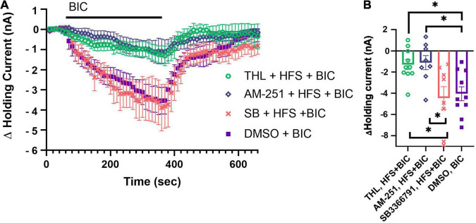 Role of DAGL, TRPV, and CB1 in mediating N cell HFS-induced depression of tonic inhibition. (A) Pretreatment with 10 μM SB 366791 (SB) prior to N Cell HFS restore the BIC-induced negative shift in P cell holding current. 10 μM THL/Orlistat (DAGL inhibitor) and 10 μM AM251 (CB1 reverse agonist) did not prevent N cell HFS from depressing tonic inhibition. (B) In terms of peak change in holding current significant differences were observed between the THL + HFS + BIC vs. the DMSO + BIC and SB + HFS + BIC groups (* indicates p < 0.05). Significant differences were also observed between the AM251 + HFS + BIC vs. the DMSO + BIC and SB + HFS + BIC groups. All data is shown as mean ± SE.