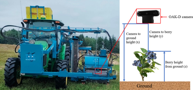 The left side is the wild blueberry harvester with a camera mount in front of the header, and the right side of the images shows how the camera to berry height (y) is used to calculate berry height from the ground (z) using Python code.