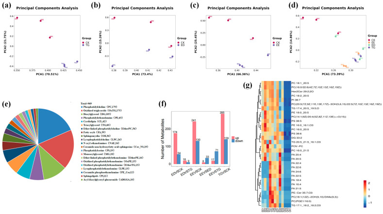TG-DHA (TG), ED-DHA (ED) and EE-EPA (EE) affected the lipid metabolites of TM: (a) PCA of the TM control group in comparison to the TG-DHA group (n = 3). (b) PCA of the TMcontrol group in comparison to the ED-DHA group (n = 3). (c) PCA of the TM control group in comparison to the EE-EPA group (n = 3). (d) PCA of the TM control group in comparison to the three experimental groups (n = 3). (e) Quantity distribution of major lipid categories in all samples detected by HPLC-MS/MS. (f) The quantities of lipid differential metabolites in the six groups of CK and ED, CK and EE, CK and TG, ED and EE, ED and TG, and TG and EE (n = 3). (g) Heat maps of lipid metabolites of CK, ED, EE and TG.