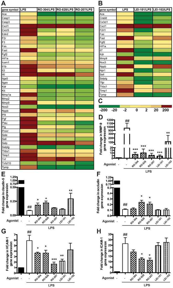 RO and LEI compounds diminished expression of inflammatory and barrier-compromising molecules in brain microvessels of mice with systemic inflammation (LPS injection).Total RNA was extracted from microvessels and a PCR-based microarray assay for evaluating the expression of genes was done as described in methods. Fold changes of <2 or >2 were considered significant. Data presented from triplicate determinations for HU-910 and RO (A) as well as LEI (B) compounds, if at least one of the compounds significantly (p<0.05) changed gene expression vs non-CB2 LPS-treated mice. C. Represents the scale of the gene regulations for A and B. qPCR data of MMP9 (D), claudin-5 (E), occludin (F), VCAM-1 (G) and ICAM-1 (H) genes. qPCR was done in triplicates for each mouse (n=3). The results are shown as the mean ± SEM. (*), (**) and (***) denote a difference of P < 0.05, P<0.01 and P<0.001 between the CB2 agonist-treated animals and non-CB2 treated. (##) denotes a difference of P<0.05 between non-CB2-treated and non-stimulated mice and non-CB2-treated and LPS-stimulated.