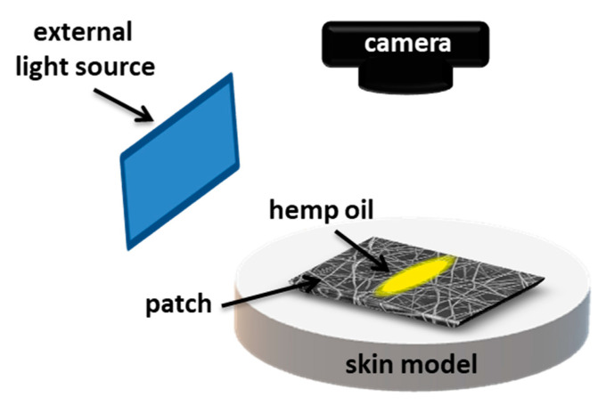 Schematic of the experimental set-up showing oil spreading on electrospun patches placed on gelatin-based skin model.