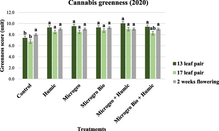 Cannabis greenness score collected in 2020 at three growing stages (13, 17, and 2 weeks flowering). Mean within a column followed the same letter by the same growth stage is not significantly different at the 0.05 probability level
