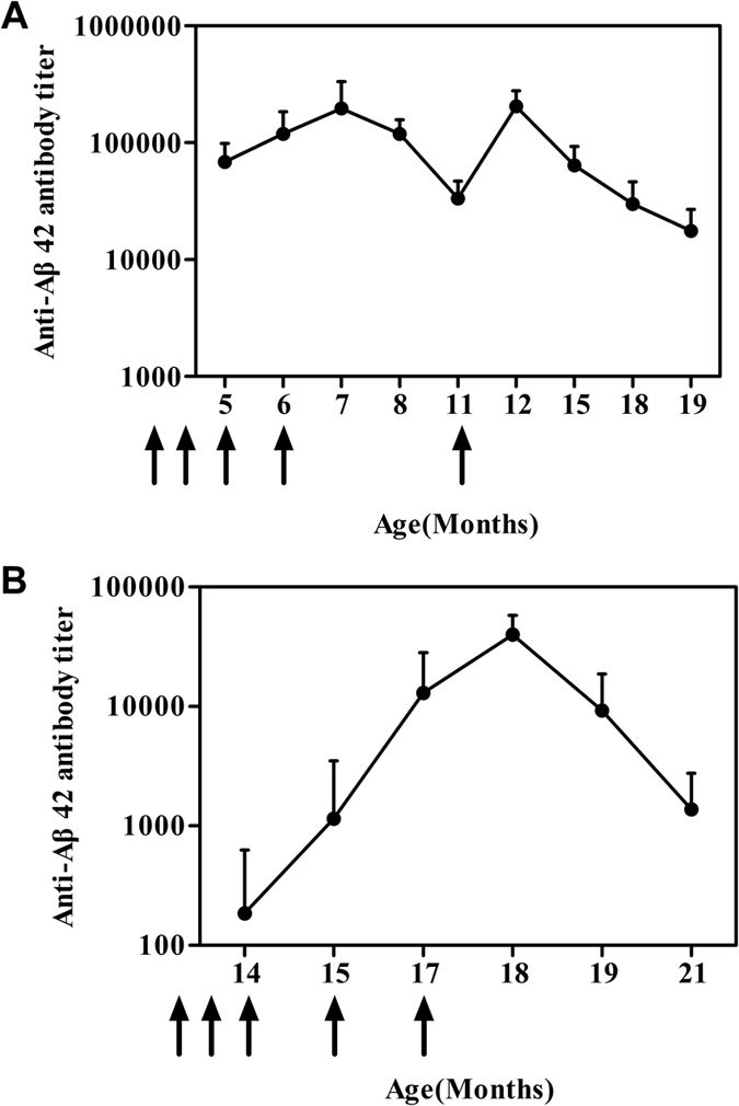 Duration of rCV02-induced immunity in 3 × Tg-AD mice following prophylactic or therapeutic administration.Serum samples from 3 × Tg-AD mice immunized with rCV02 were collected at the time-points indicated (Supplementary Figure S1) and the anti-Aβ42 IgG titers were analyzed by ELISA. Serum samples from individual mice were assayed, and the geometric mean titer (GMT) was calculated for each group (n = 8). The serum antibody titer was monitored for 14 months for the prophylactic treatment (A) and 7 months for the therapeutic treatment (B). The x-axis indicates the age of the mice at the time of the blood sampling (months). The solid arrows indicate the time of rCV02 vaccine administration.