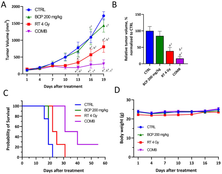 BCP combined with RT exhibited the most significant tumor suppression and prolonged survival time in GL261 tumor‐bearing mice. (A) The tumor growth curves of each group (n = 4 mice per group) indicate that the COMB group had the greatest tumor inhibition, followed by the RT and BCP groups. (B) The relative tumor volume obtained on day 19 was significantly lower in the COMB group than in the CTRL group. (C) The Kaplan–Meier survival curves show that the COMB group had the longest survival time among all groups. Furthermore, no significant general toxicity was observed with any treatment, as indicated by (D) the body weight tracking results. “a” compares to CTRL; “b” compares to BCP; and “c” compared to RT. Statistical significance: 1, p < 0.05; 2, p < 0.01; 3, p < 0.001; 4, p < 0.0001. Error bars indicate SEM and the range of four biological replicates. Two‐way ANOVA was used in panel A. One‐way ANOVA was used in panels B and D. (n = 4 per group, conducted twice).