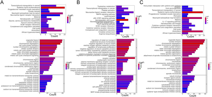Functional Enrichment Analysis. (A) Bar plots of KEGG pathway and GO enrichment analyses in the control and case groups. (B) Bar plots of KEGG pathway and GO enrichment analyses in the case and treatment groups. (C) Bar plots of KEGG pathway and GO enrichment analyses in the control and case groups. Each GO map presents the top 10 enriched terms in BP, CC, and MF. Each KEGG map shows the top 15 enriched KEGG pathways.
