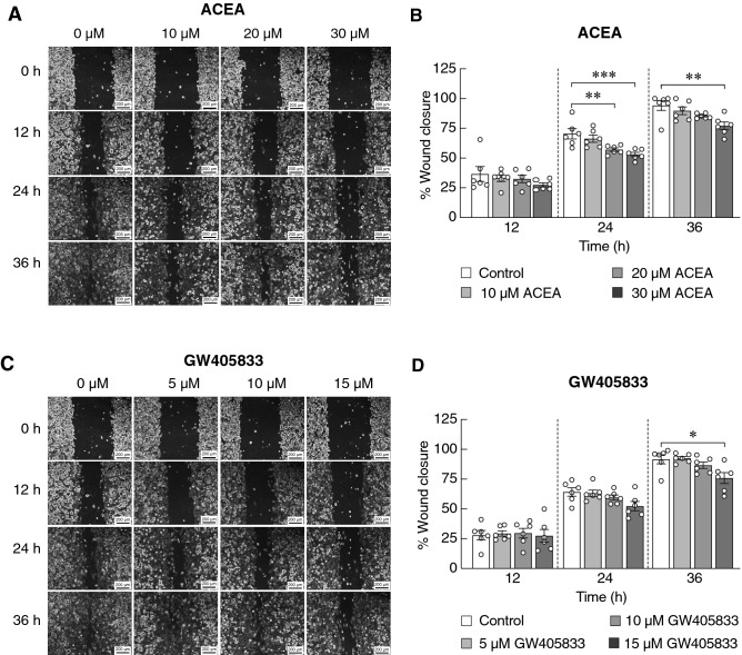 Inhibitory effects of (a, b) ACEA and (c, d) GW405833 on MDA-MB-231 cell migration (a and c) Representative images illustrated MDA-MB-231 cell migration after being treated for 12, 24 and 36 h with the indicated concentrations of the compounds. (b and d) Percent wound closure representing cell migration was assessed by wound healing assay. Each column represents mean ± SEM of three independent biological replicates with two technical duplicates each. (***p < 0.001, **p < 0.01, *p < 0.05).
