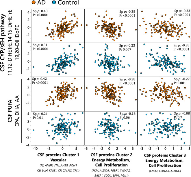 CSF sEH metabolite and PUFAs associations with AD-implicated CSF protein clusters. Most pronounced associations collapsed into variable cluster components, with the indicated Spearman’s rank order correlation statistics, including Spearman’s ρ and p-value. The sEH metabolites cluster was created from 11,12-DiHETrE, 14,15-DiHETrE and 19,20-DiHDoPE and the PUFA cluster from EPA, DHA and AA. CSF proteins were organized into three clusters (Table S5): cluster 1—containing mostly vascular proteins, with F2, AMBP and VTN as most representative members with R2 > 0.8; Cluster 2—containing proteins involved in energy metabolism and cell proliferation, with PKM, ALDOA and PEBP1 as most representative members with R2 > 0.7; Cluster 3 containing glycolysis regulating ENO2 and cell proliferation regulating COL6A1 and glycolytic enzyme ALDOC. Analysis was performed separately for AD cases and healthy controls and the two groups are indicated on the graph by colors: blue—healthy control; orange—AD cases. N for AD cases = 151; healthy controls = 142.