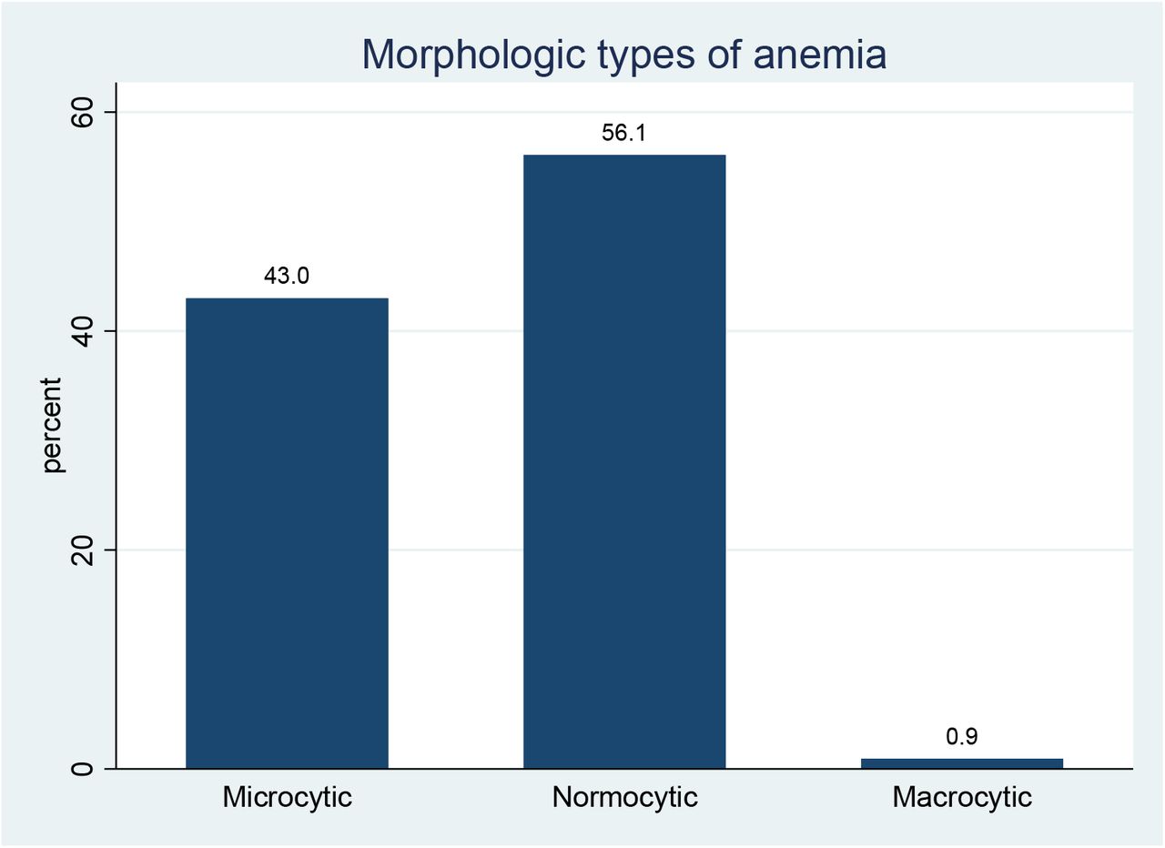 Morphologic types of anemia among newly diagnosed solid cancer adult patients in Hawassa city health facilities, Hawassa, Ethiopia (N=107), 2022Microcytic: MCV<80fl, Normocytic: 80fl ≤ MCV≥100fl, and Macrocytic: MCV >100fl.