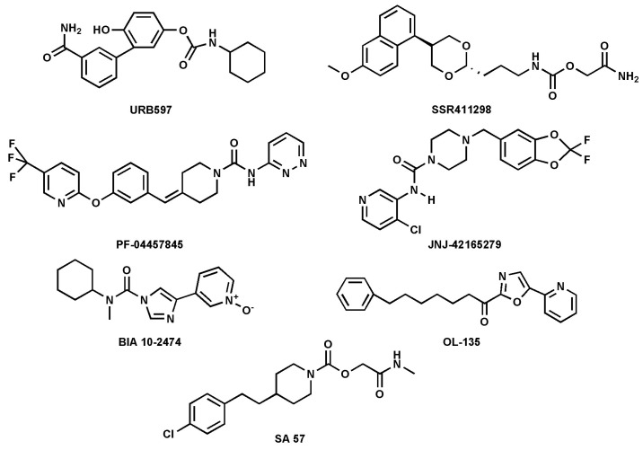 Chemical structures of the synthetic FAAH inhibitors listed in Table 1.