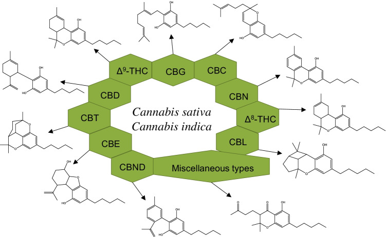 Classification and chemical structure of the eleven more common cannabinoid families present in C. sativa and C. indica